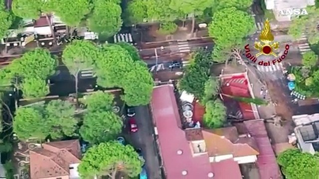 Maltempo sulla Riviera Romagnola, strage di pini a Milano Marittima