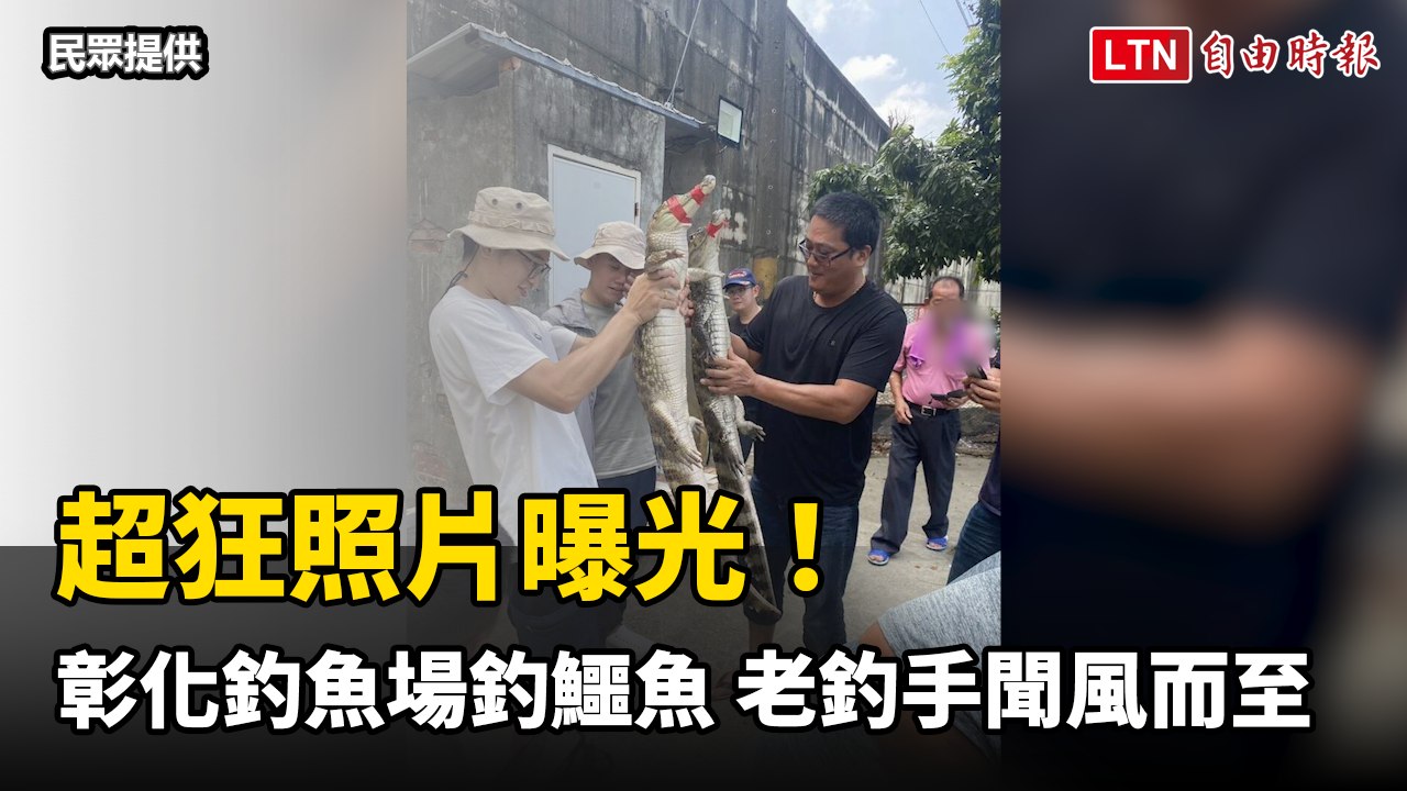 超狂照片曝光！彰化釣魚場「釣鱷魚」 老釣手聞風而至（民眾提供）