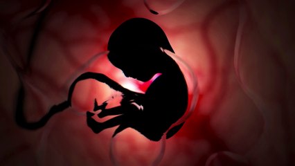 Pregnancy Music that Makes Baby KICK INSIDE The Womb 30 min ( Vol 01 )