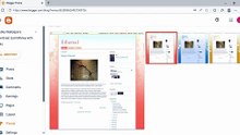 Website Appearance