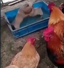 The tables has turned