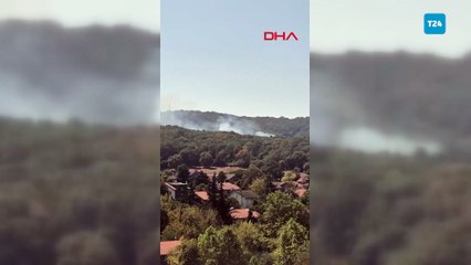 İstanbul'da orman yangını; ekipler müdahale ediyor!
