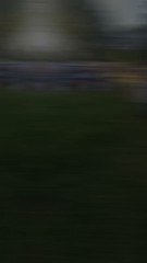 t'en penses quoi du lot ? #gaming #retrogaming #videgrenier #brocante #videogames #collection