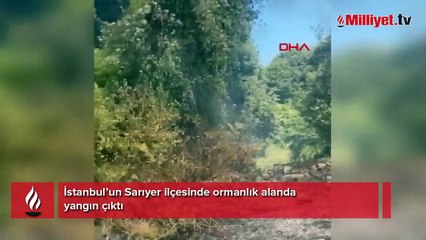Sarıyer'de ormanlık alanda yangın