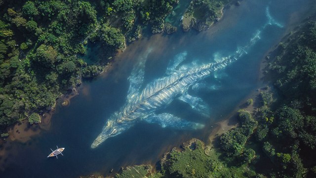 20+ Créatures marines qui ont terrifié les scientifiques et les marins