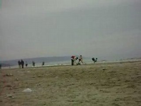 le sportif de deauville