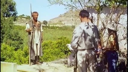 Little Bird (Pajarico)  1997 Spanish drama film