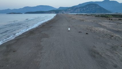 Yumurtadan denize yolculuk! Bakan Kurum: “Bu yıl 40 bin 285 yavru kaplumbağamızı denizle buluşturduk”