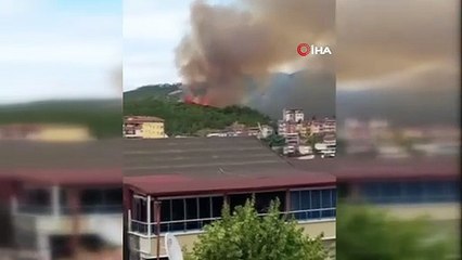 Kocaeli’de ağaçlık alanda yangın çıktı