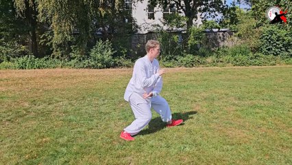 Kenko Kempo Yang Style Tai Chi 9 Form - Vitok - Erich Ries