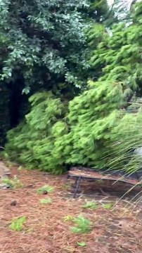 Maltempo a Milano Marittima, danni alla casa di Arrigo Sacchi