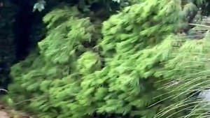 Maltempo a Milano Marittima, danni alla casa di Arrigo Sacchi