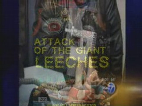 NWO Vampires to begin 'no-refusal' Blood sucking weekends