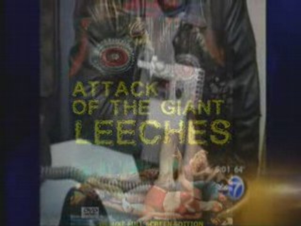 NWO Vampires  to begin 'no-refusal' Blood sucking weekends