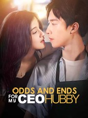 Odds And Ends For My Ceo Hubby