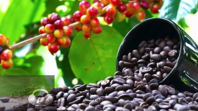 6 Health Benefits of Black Coffee Without Sugar and the Best Time to Drink It