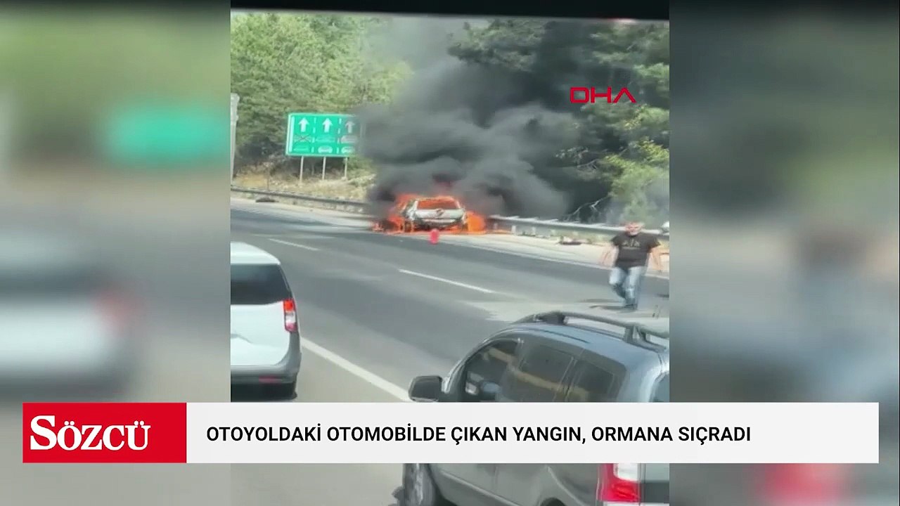 Otoyoldaki otomobilde çıkan yangın, ormana sıçradı