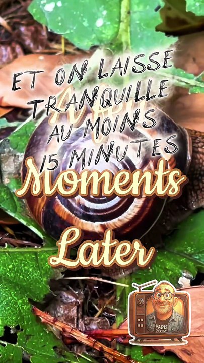 Recette Pizzas maison