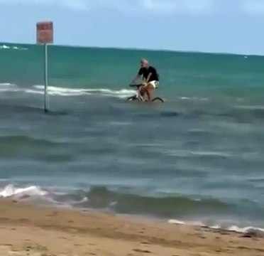 Image from field_mediaid