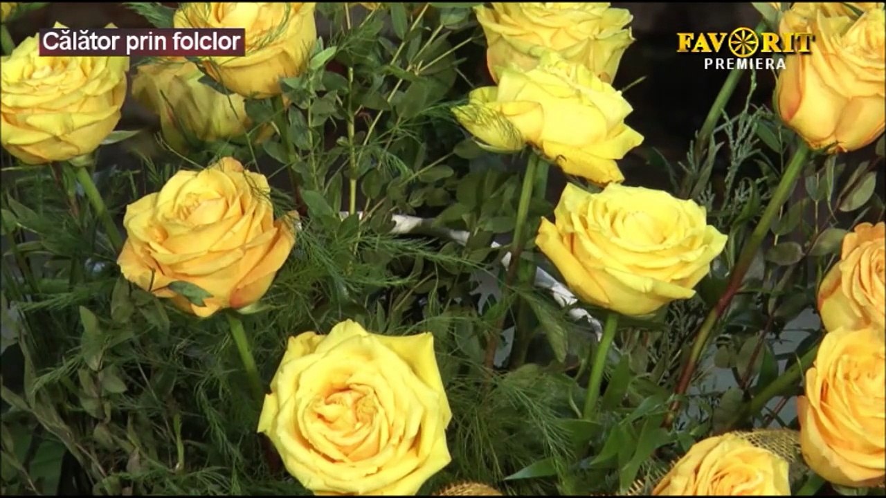 Stelian Hristea - Uite, padurea colea (Calator prin folclor - Favorit TV - 20.07.2025)