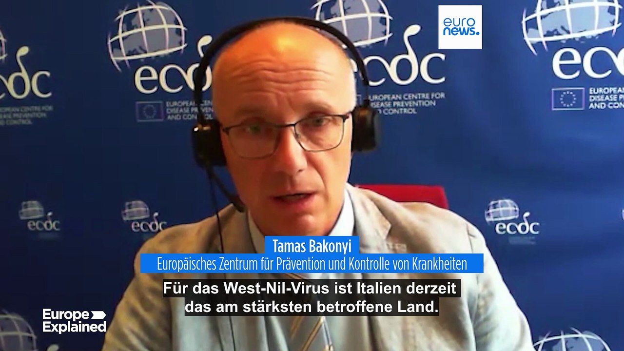 'Europa tritt in neue Phase ein': Durch Mücken übertragene Krankheiten erreichen Rekordstand