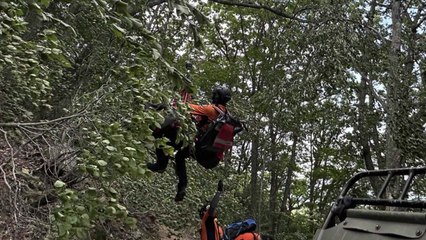 대관령 트레일런 대회 참가 40대 남성 숨져 / YTN