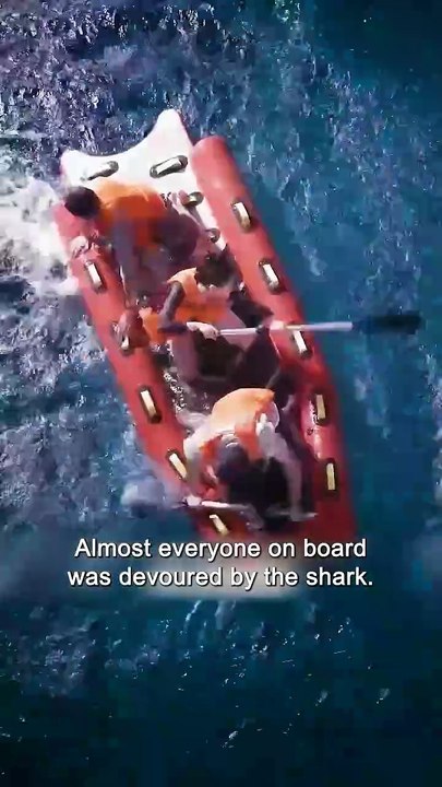 They Laughed at His Shark Warning… 10 Minutes Later, They Were Screaming for Their Lives