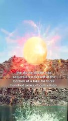 8-Year-Old Girl Spun a Billionaire in a Wheelchair with One Finger—What Happened Next SHOCKED Everyone!