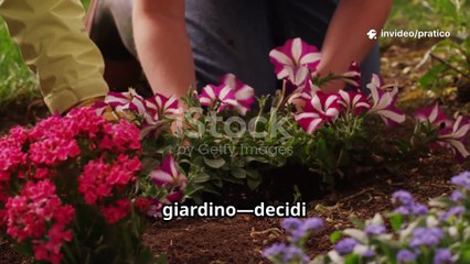 Ripagate con INDIFFERENZA Chi Non Apprezza la Vostra Presenza