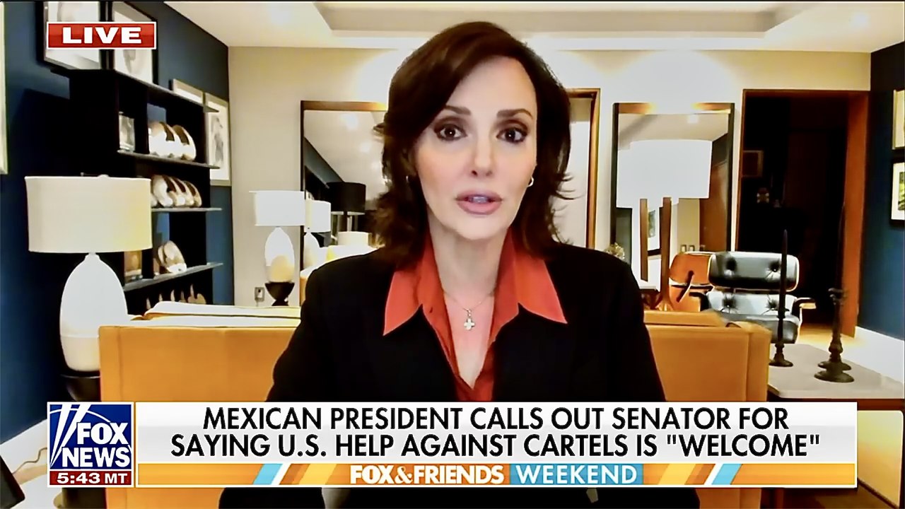 Very Brave Mexican Senator Risks Life Asking Trump To Hit Cartels