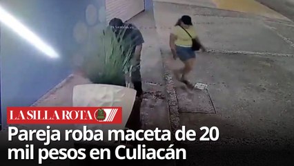 Pareja roba maceta valuada en 20 mil pesos frente a funeraria de mascotas