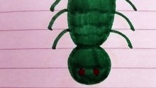 Ragno verde disegno