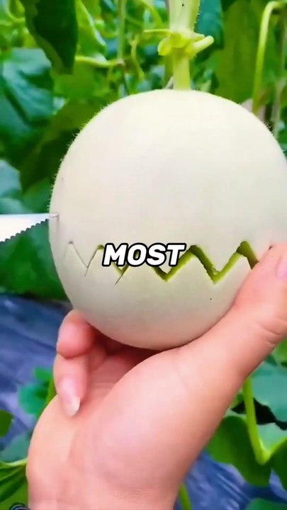 5 Best fruit for Hydration & Energy  #healthtips