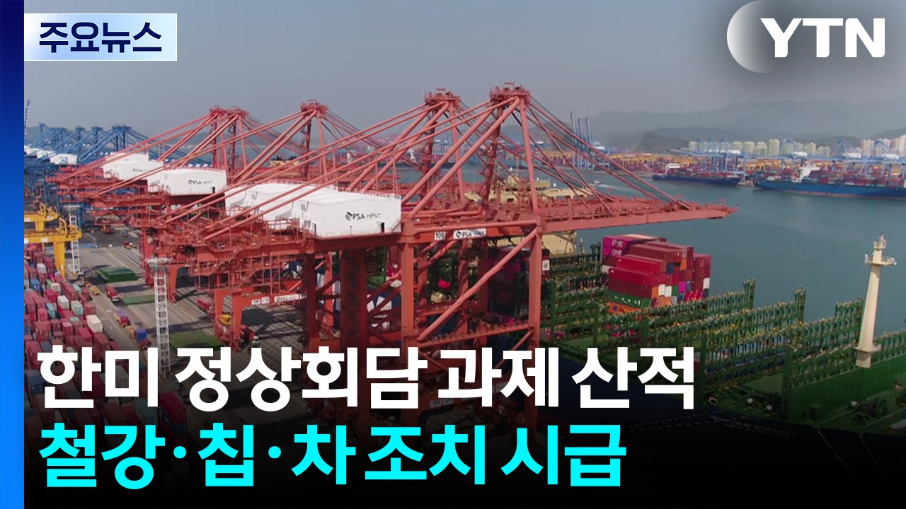 한미 정상회담에서 경제 분야 과제 산적...철강·칩·자동차 산업 위한 조치 시급 / YTN