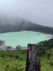Indo 2025: Exciting Trip with Minty 🇮🇩