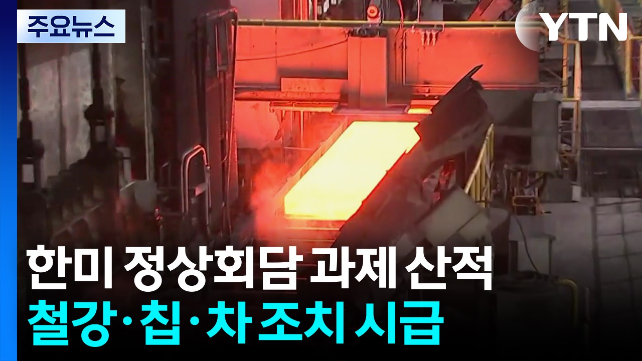 한미 정상회담에서 경제 분야 과제 산적...철강·칩·자동차 산업 위한 조치 시급 / YTN