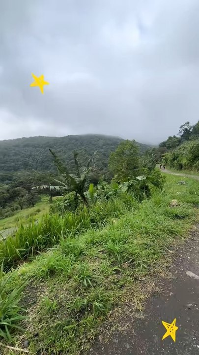 Si t'as besoin de faire un reset mental... fais un tour dans une rivière comme celle-là oAujourd'hui on a respiré, marché, ri et juste profité.C'est pas juste des vacances. C'est unereconnexion.Bassin Bleu, Gourbeyre