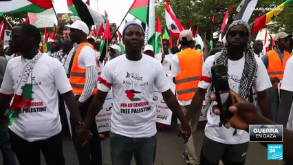 Manifestantes propalestinos en el mundo piden “detener el genocidio”