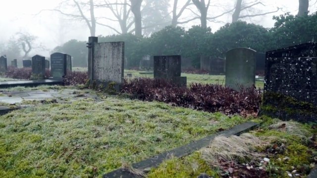 💀 LA NOCHE DE LOS MUERTOS VIVIENTES 🔥 | Terror & Power Metal – La Hora de las Brujas