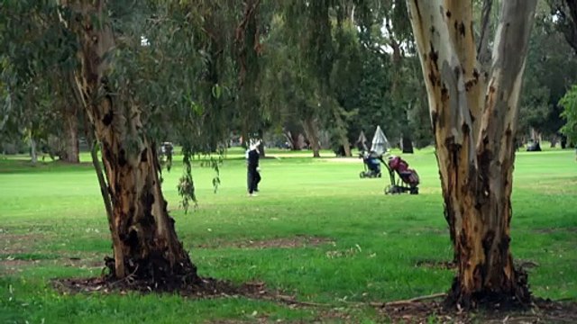 SA government uncertain how many trees will be cleared for golf course upgrades