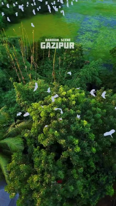 Nature Dhaka