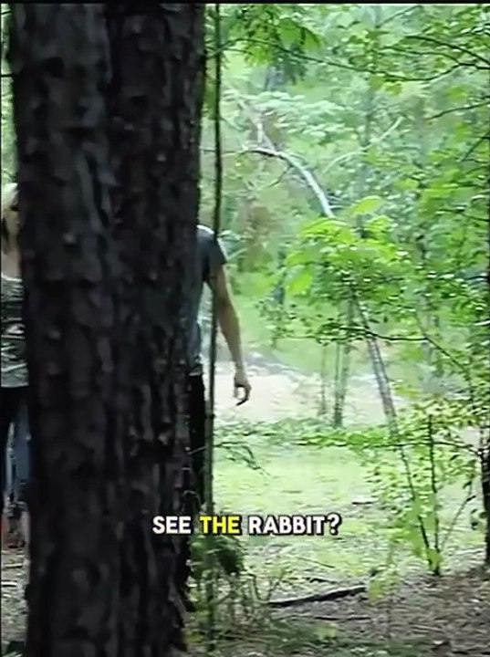 How Stefan Support Caroline and Became Endgame | TVD Edits