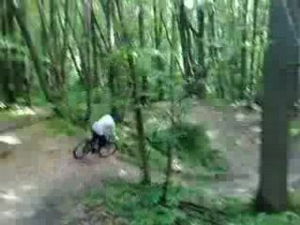 velo 5