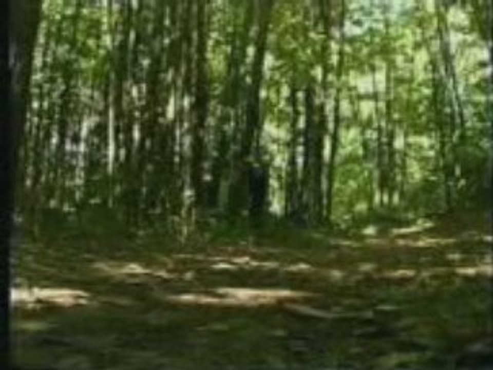 Generique4