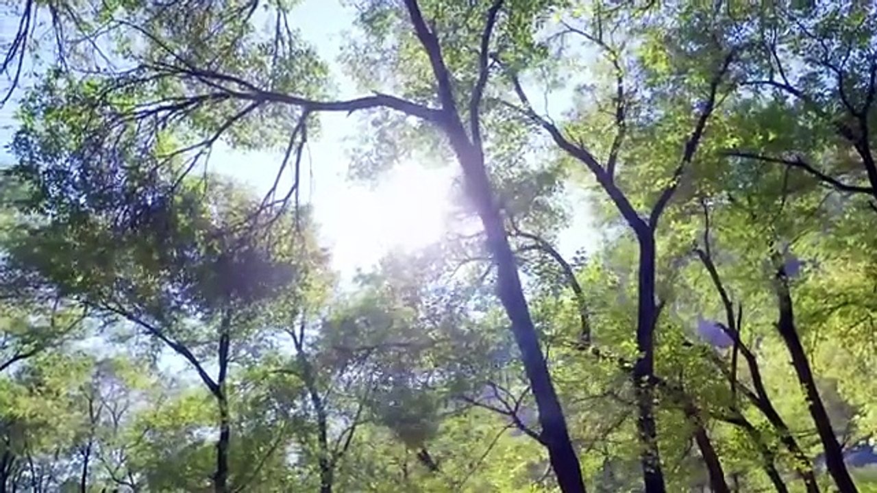 【ENG SUB】EP 12 ｜ 💥 Hot Female Bodyguard ｜ Starring： Dilraba Dilmurat, Ma Ke