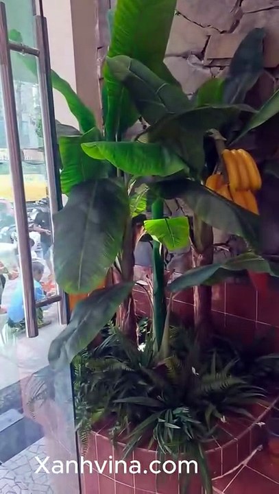 Thi công tiểu cảnh bụi cây chuối giả cho cuốn xanh_ xanhvina