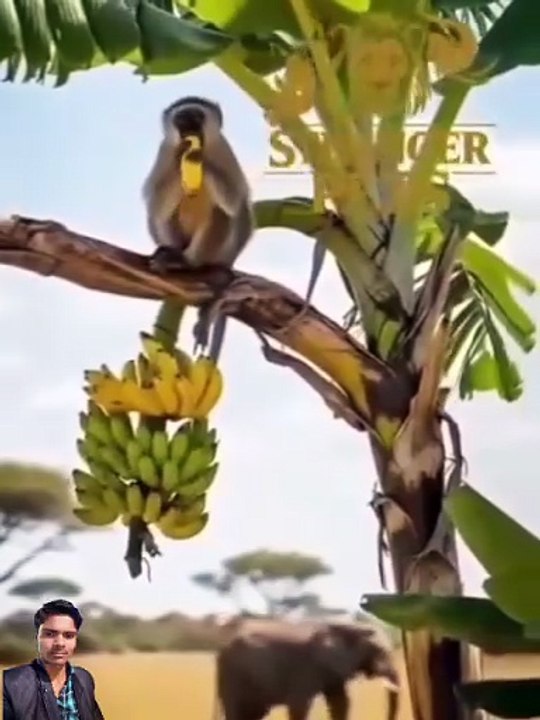 Yadi karm tere best jangal status