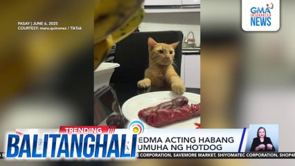 Alagang pusa, dedma acting habang sumusubok na kumuha ng hotdog | Balitanghali