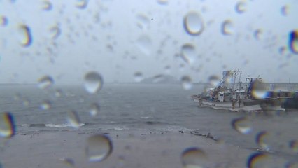 [날씨] 무더위 속, 수도권 강한 비...인천·경기 북부 '호우예비특보' / YTN