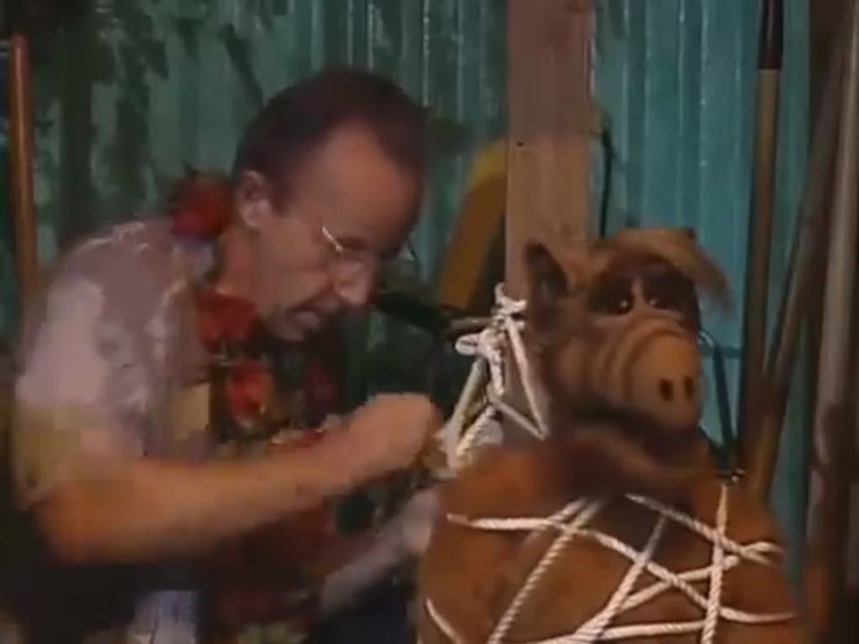 ALF Staffel 4 Folge 13 'Die Hawaii Party' #Deutsch